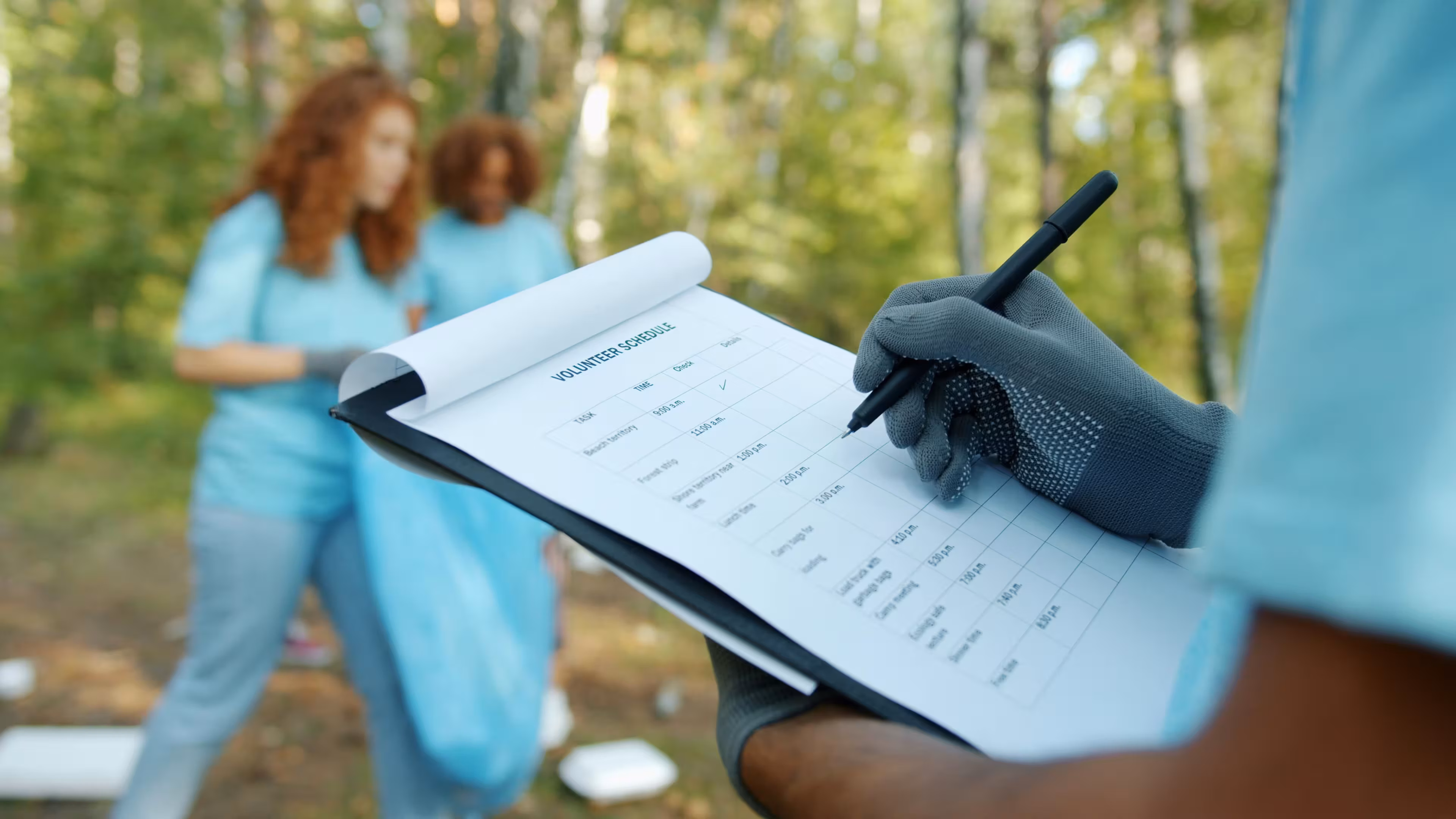 Sustainability Audits services